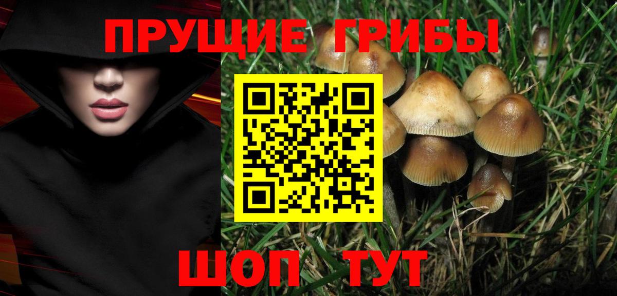 Галлюциногенные грибы GOLDEN TEACHER Уфа